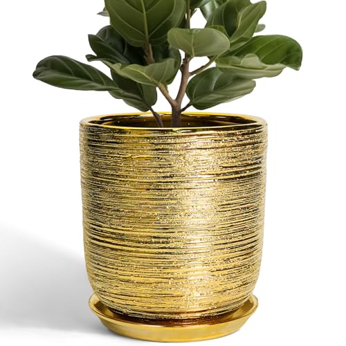 Ceramic Flower Pot for Indoor Plants