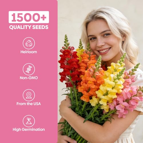 Mix Snapdragon Seeds Tetra