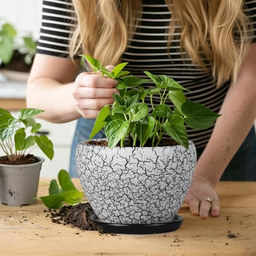 Ceramic Planter Pot