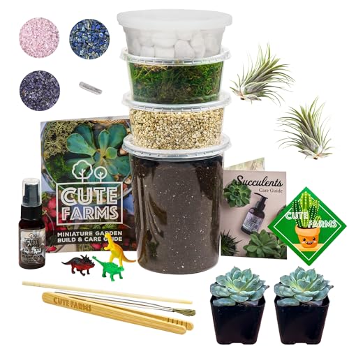 Terrarium Starter Kit (Large Kit + Live Plants + Crystals)
