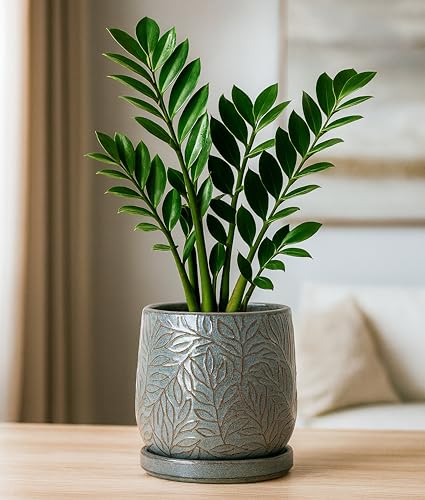 Embossed Leaves Ceramic Planter (6 Inch / Graphite Blue)