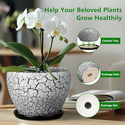 Ceramic Planter Pot
