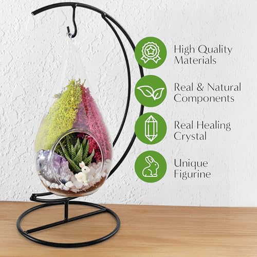 7" Teardrop Glass Terrarium Kit DIY Succulent Décor