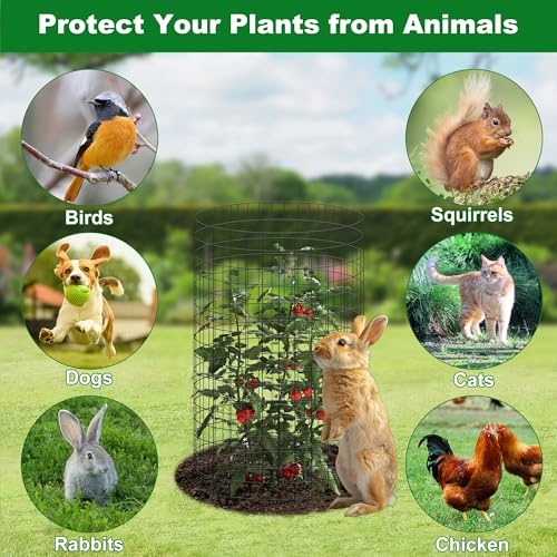 12 Set Garden Plant Protector Cage (16 IN x12 IN / Black)