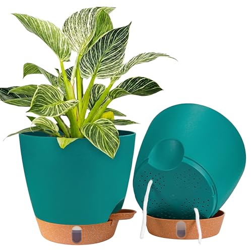 2 Pack 8 inch Plant Pots (Turquoise / 8 inch)