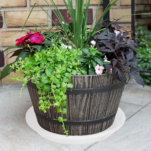 2 Pack of 19 inch Clear Plant Saucer (19" (2 pack) / Clear)