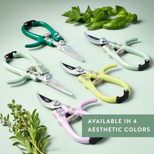 Pruning Shears (Multicolor - 4pcs)