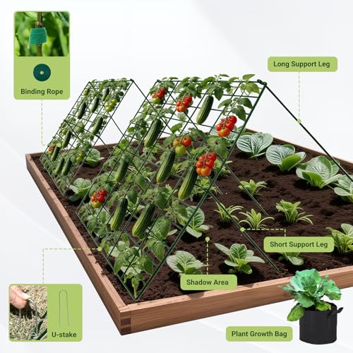 Cucumber Trellis for Garden 48" L x 24" W (48" L x 24" W)