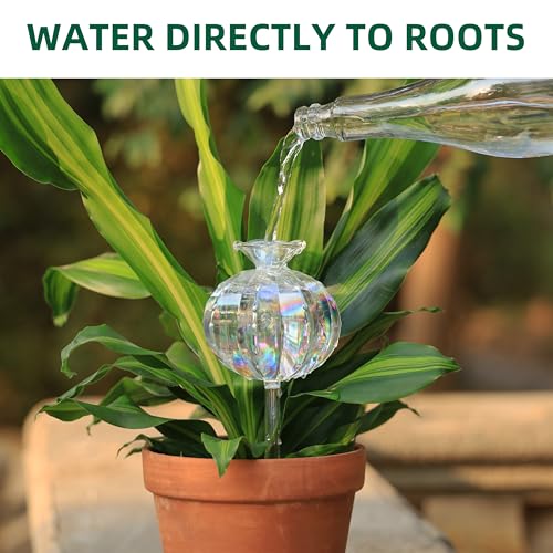 10 oz Large Top Fill Cactus Plant Watering Globes (4 Count)
