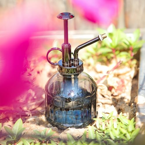 Glass Plant Spray Bottle