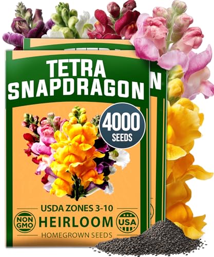 Tetra Snapdragon 4