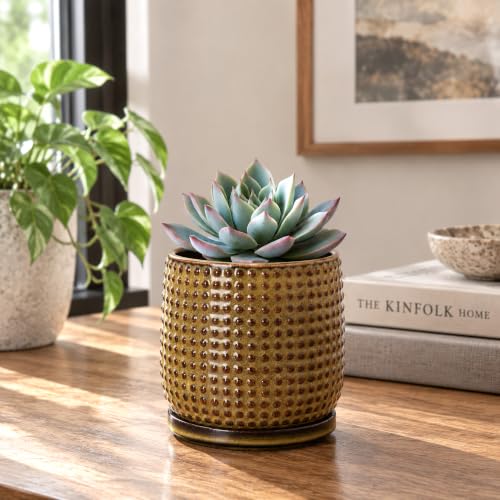 Beaded Ceramic Pot with Saucer (4.3 Inch / Olive Bronze)