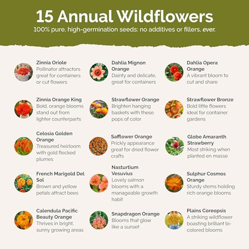 Orange You Glad Flower Mixed Seeds for Planting