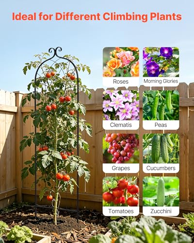6 Packs Metal Garden Trellis for Climbing Plants Outdoor 71x20in
