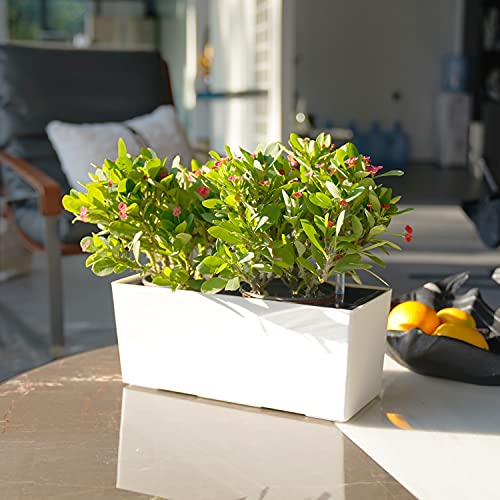14" Self Watering Planter Pots with Water Level Indicator