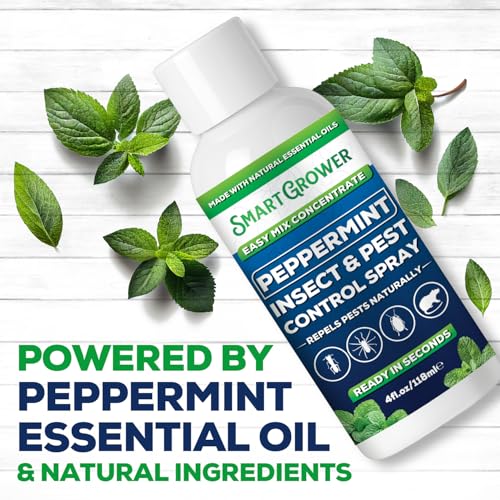Peppermint Oil Spray for Rodents (4 Fl Oz (Pack of 1))