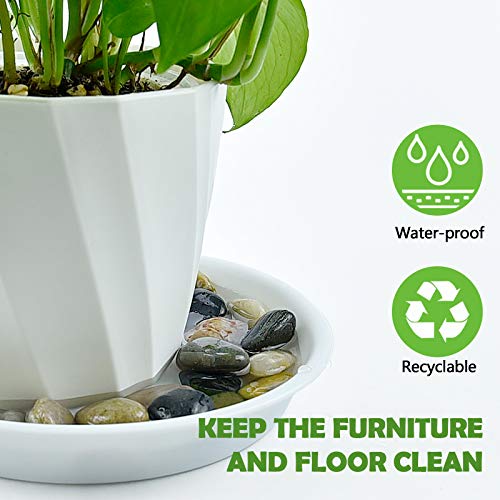 3 Pack Plant Saucer Heavy Duty Sturdy Drip Trays for Indoor and Outdoor (White / 12 Inch)