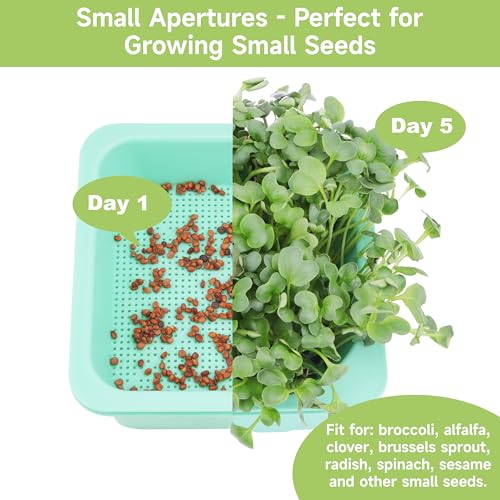 Microgreen Growing Trays (6 Pack-colorful Base)