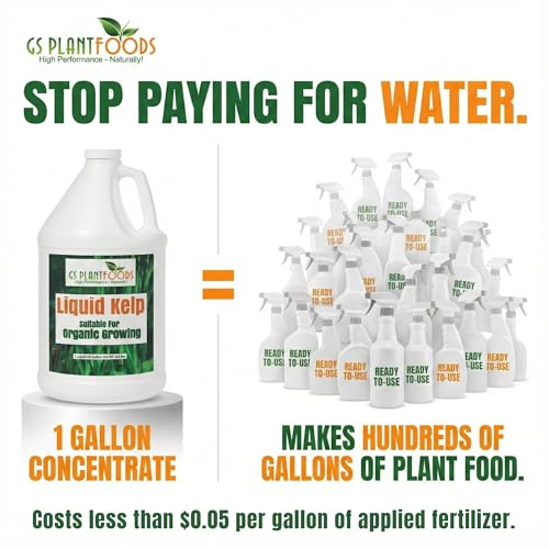 Liquid Kelp Fertilizer (275 Count)