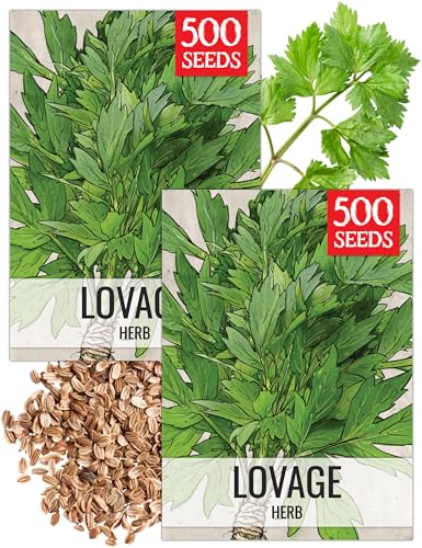 Lovage Seeds to Plant Heirloom Non (2 Packs)