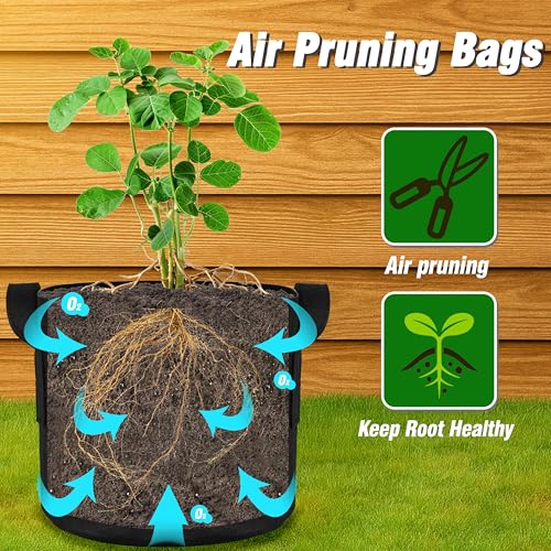 12 Pack 10 Gallon Grow Bags (12 Count)