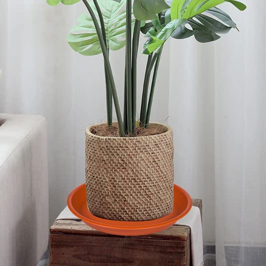 Plant Saucer Pot Tray 4 inch (4" - 6 Pack / Terracotta)