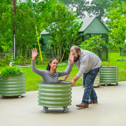 Rolling Citrus Tree Planter Gen 3 (Modern Gray / 30 Gallon)