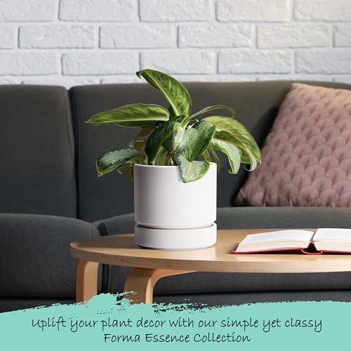 6 Inch Planter Pot with Drainage Hole & Saucer (2 Count)