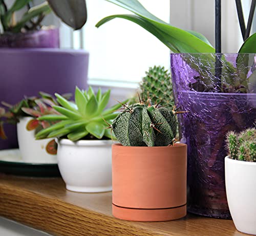Terracotta Plant Pot with Saucer