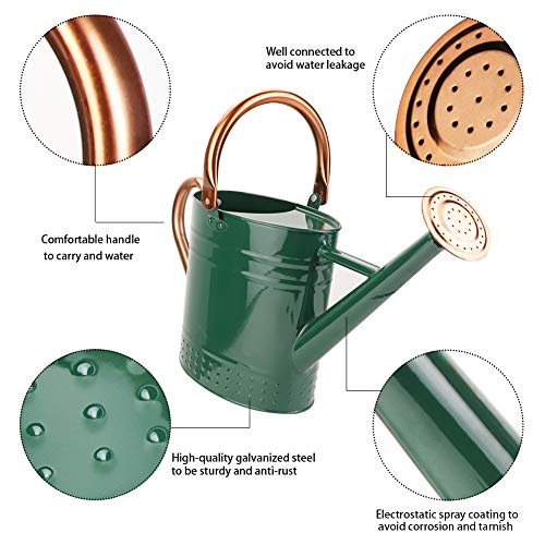 1 Gallon Metal Watering Can with Removable Spout