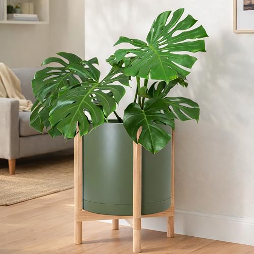 Plastic Pot with Natural Wood Stand (Olive Pot + Natural Stand / 16 Inch)