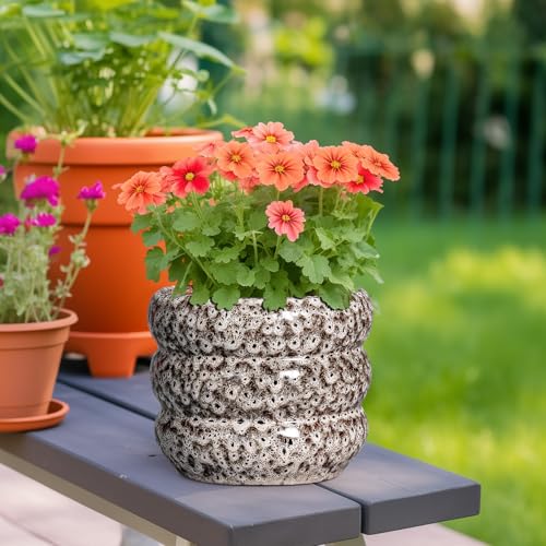 Ceramic Plant Pots (8 Inch / Leopard Print White)