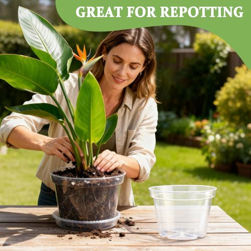 10 Pack 10 Inch Clear Nursery Pots with Saucers (Clear / 10 Inch 10 Pack)