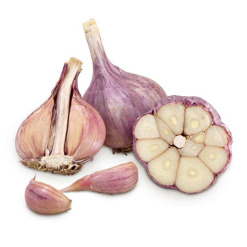 5 pack of Fresh Purple Garlic Bulb
