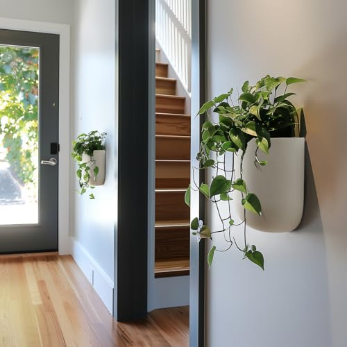 LA Jolie Muse Wall Planters for Indoor Plants (2 Count)