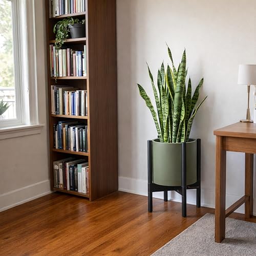 Plastic Pot with Ebony Wood Stand (Olive Pot + Ebony Stand / 10 Inch)