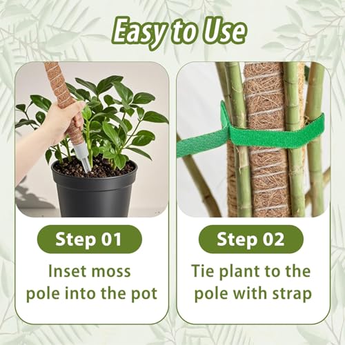 2 Pack Moss Pole (63"- 2 pack)