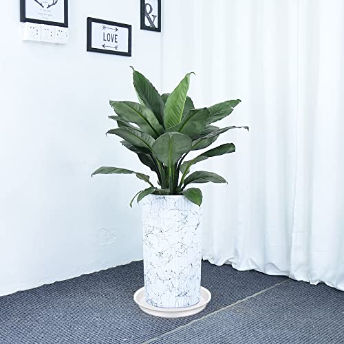 4 Pack of 16 inch Plant Saucer White (4 Count)