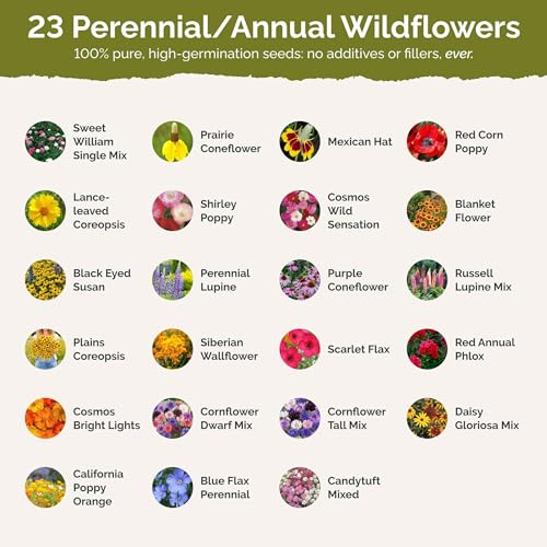 Nebraska Wildflower Mixed Seeds for Planting