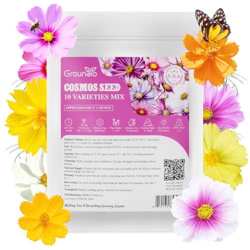 10 Varieties Cosmos Seeds