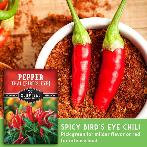 Thai Chili Pepper Seeds for Planting