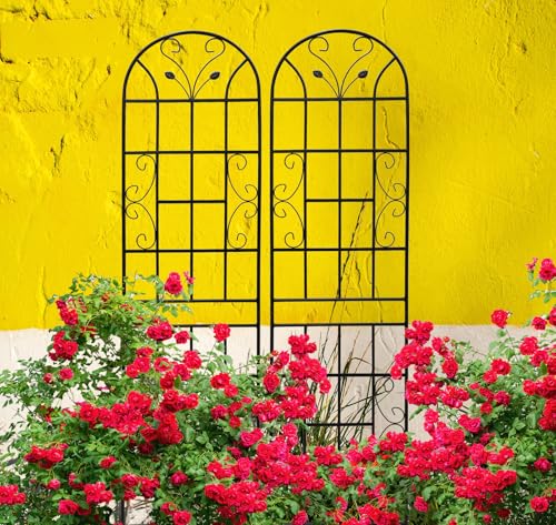 2 Pack Metal Garden Trellis for Climbing Plants