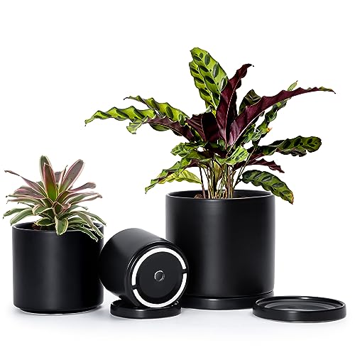 3 Pack Black Terracotta Pots & Saucers (4+5+6 Inch / Black)
