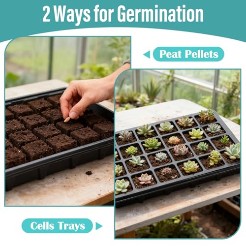 10 Pack Seed Starting Trays with Humidity Dome & Large 24 (Black / 10 Sets)