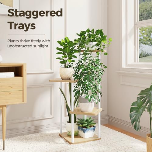 Small Plant Stand Indoor Metal Plant Shelf for Multiple Plants (4 Count)