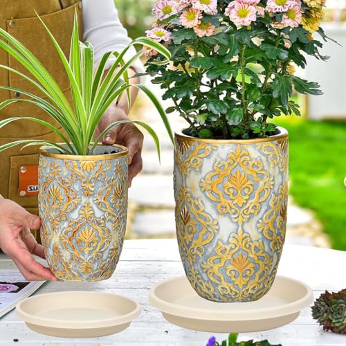 5 Pack Plant Saucer 6 Inch (6" (5 Pack) / Beige)