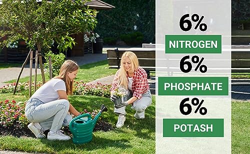 6-6-6 All-Purpose Professional Plant Food Fertilizer; Ideal for Winter Care & Spring Feeding, Perfect Balanced NPK for Indoor and Outdoor Plants (1/2 Quart) (16 Fl Oz)