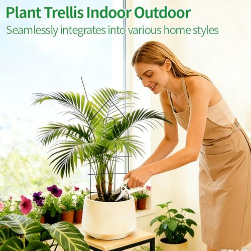 24" Plant Trellis (6Pack-24 inch house shape)