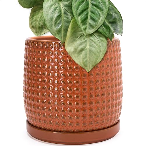 Beaded Ceramic Pot with Saucer (10.2 Inch / Pumpkin)