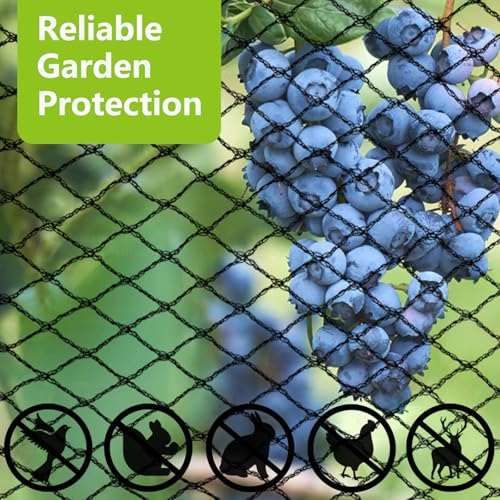 20x20ft Bird Netting (20 x 20 FT)